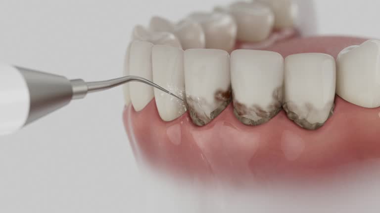 Reliable Dental contractor in Portsmouth, NH by Dentist Open Now